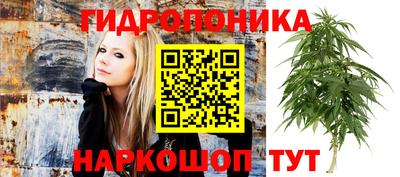 шишки Туймазы
