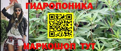 шишки Туймазы