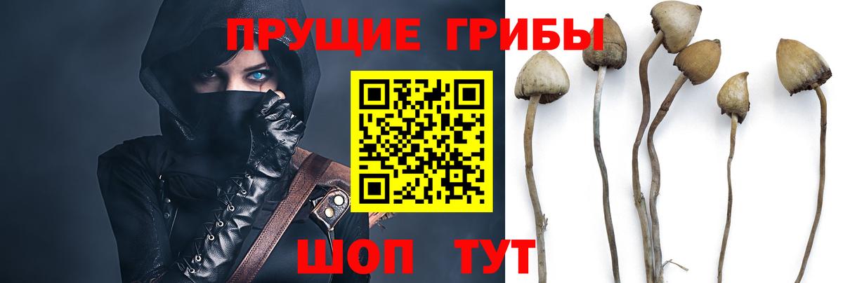Галлюциногенные грибы MAGIC MUSHROOMS  Вход с VPN  Артёмовский 